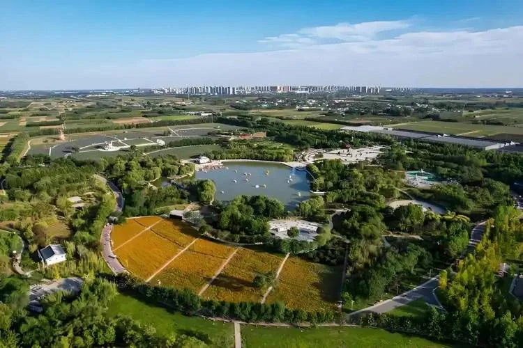 安国市属于哪个省的-安国市属河南省