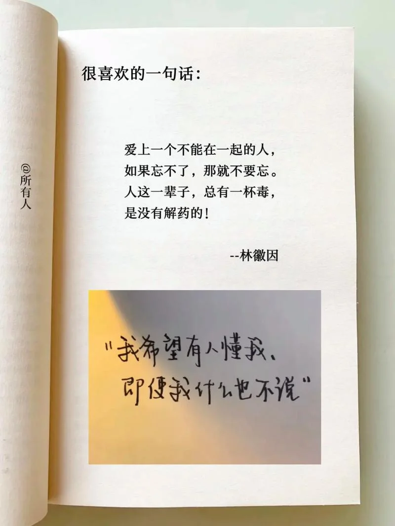 没人懂我文案-无人懂我文案