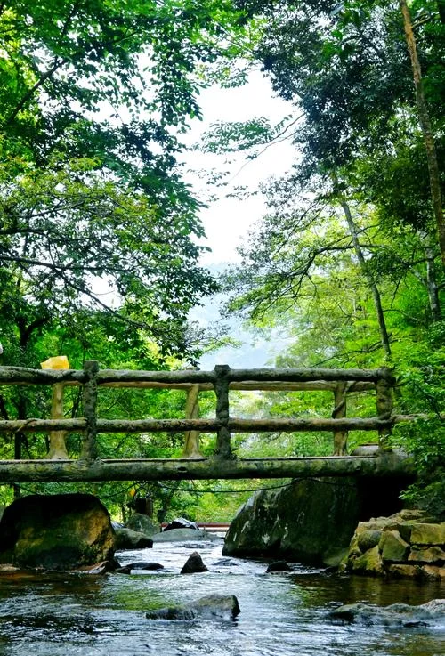 姑婆山在贺州哪个区_1