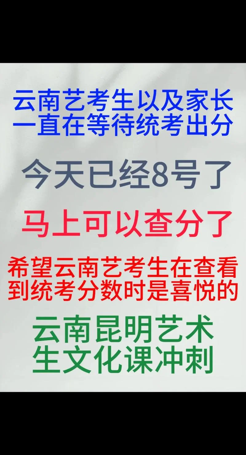 艺考文化课多少分云南_2