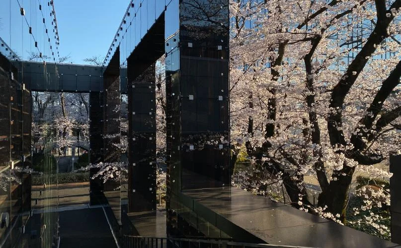 日本武藏野美术学院-日本武藏野美院