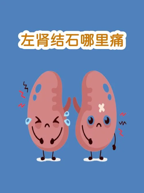 肾疼怎么办男生-男生肾疼怎么办