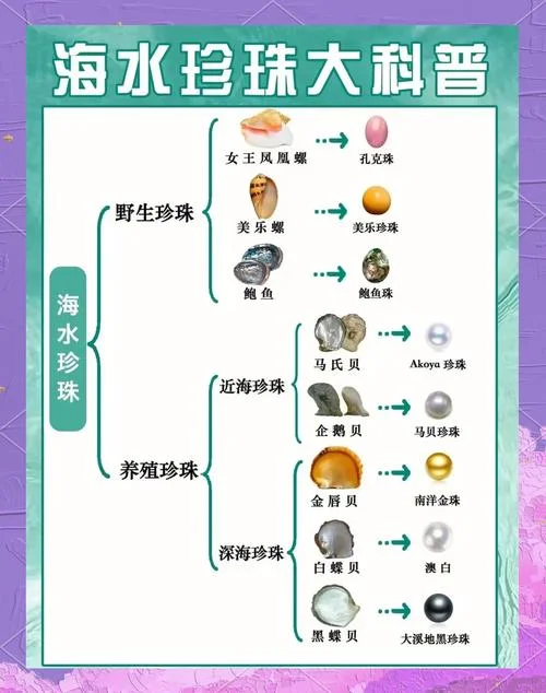 珍珠出自哪里_1