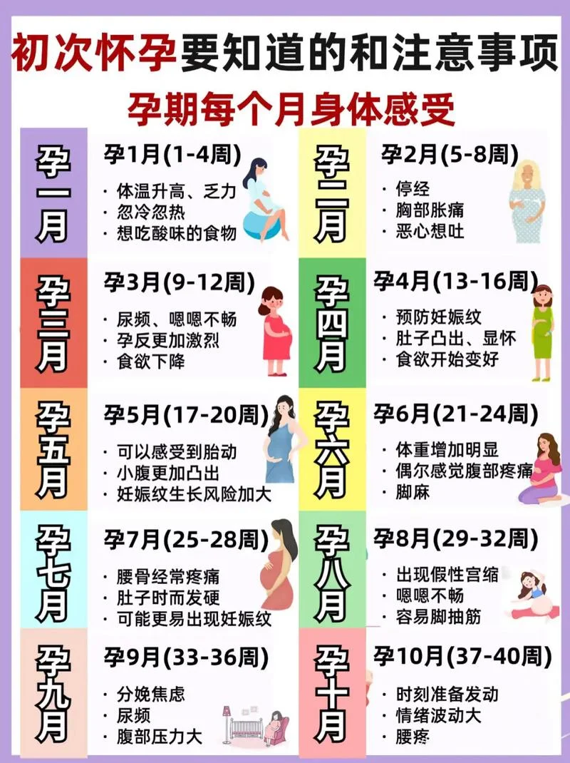 如何胎教 孕几月开始合适_1