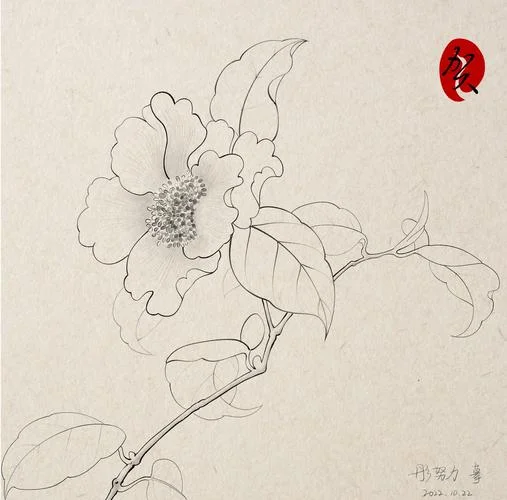 山茶花怎么画procreate-山茶花绘画教程