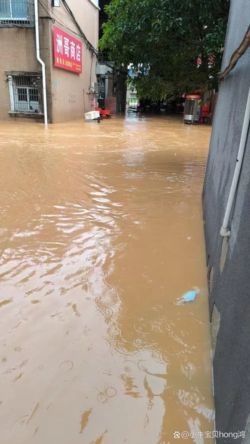 梦见水库突然涨大水_1