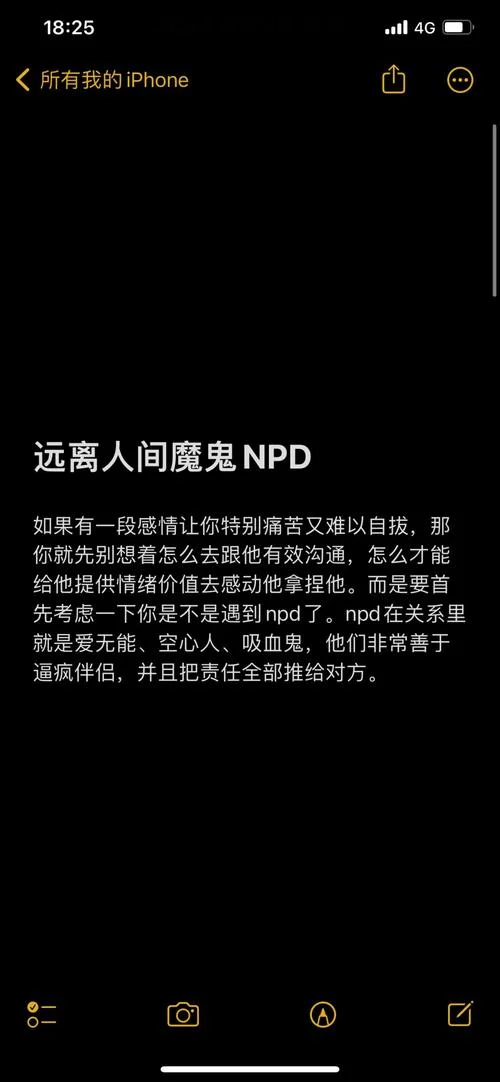 piay是什么意思_2