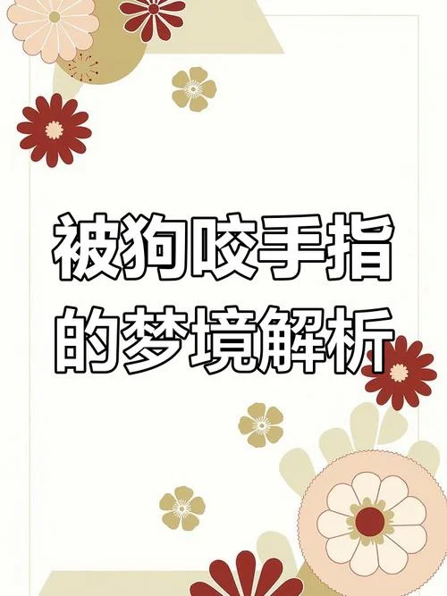 做梦梦到被够狗咬了怎么办_1