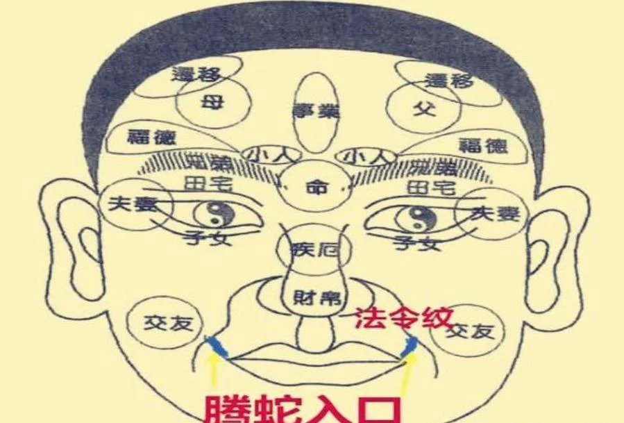 面相测姻缘免费-面相测姻缘免费