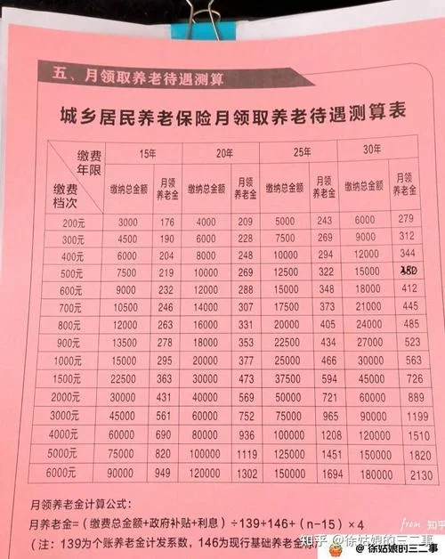 农村养老保险是从哪年开始的-农村养老保险始于 2009 年