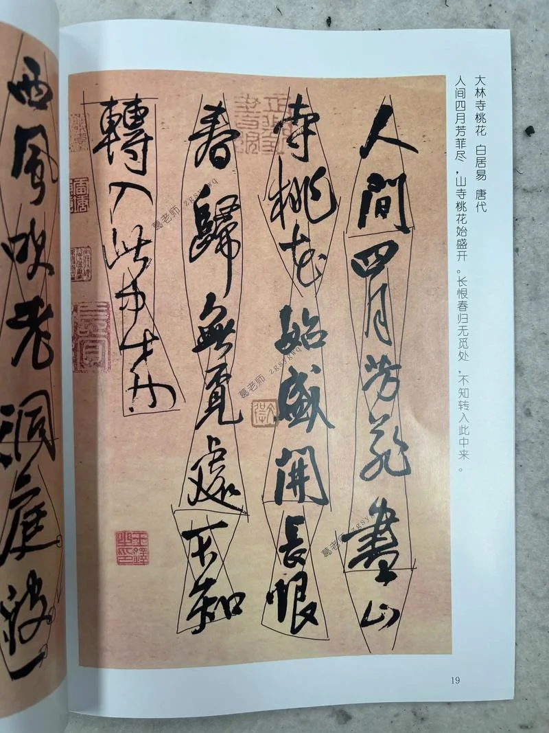 书法艺考于老师-书法艺考名师