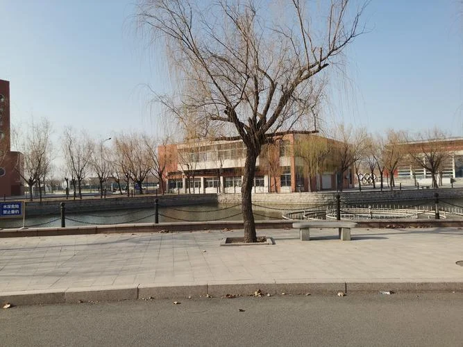 滨州市第一中学官网_2