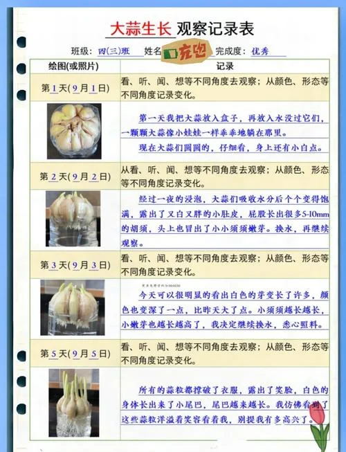 几月种大蒜最好_1