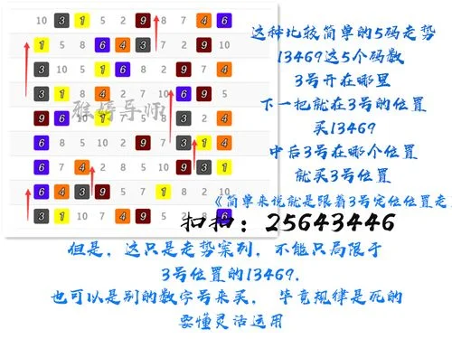 7码滚雪球倍投公式_1