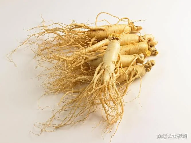 什么是皂苷_1