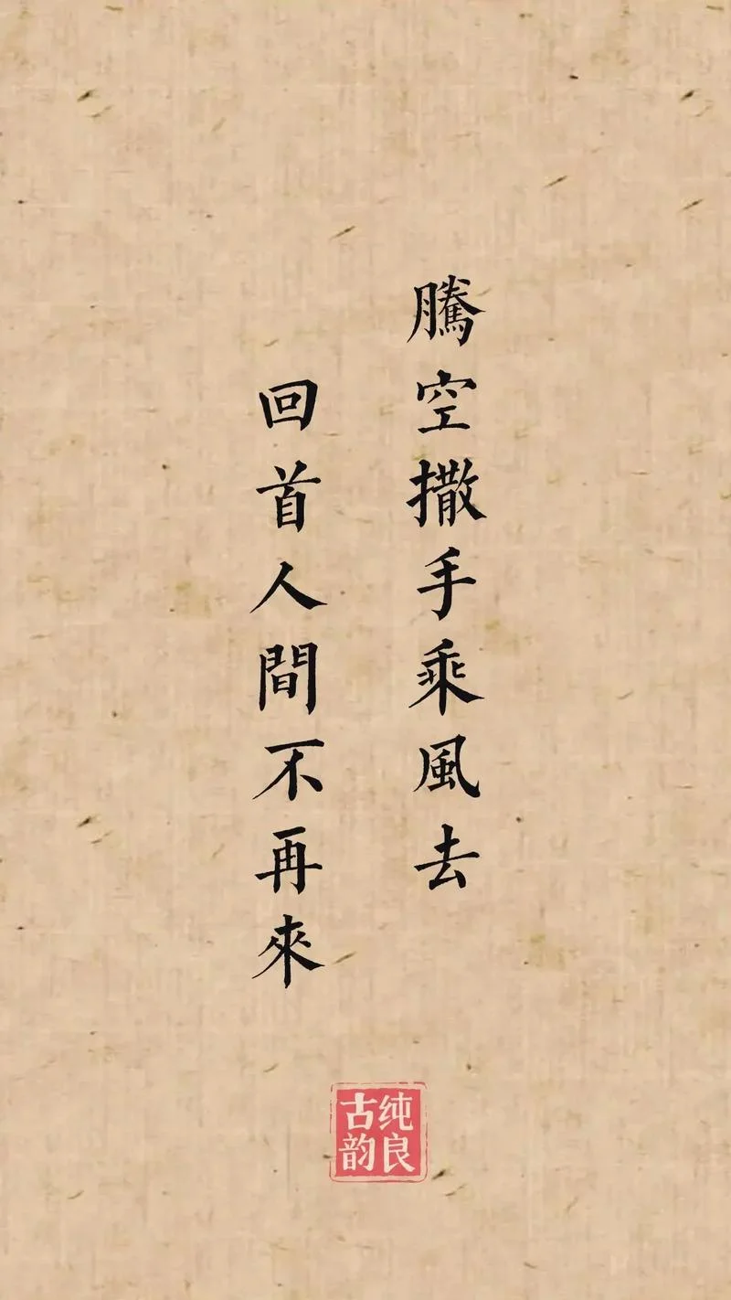 乘风归去下一句_1