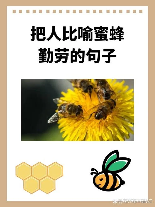 蜜蜂采蜜的文案_1