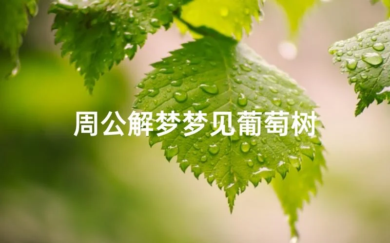 周公解梦梦见葡萄苹果-梦见葡萄苹果周公解梦