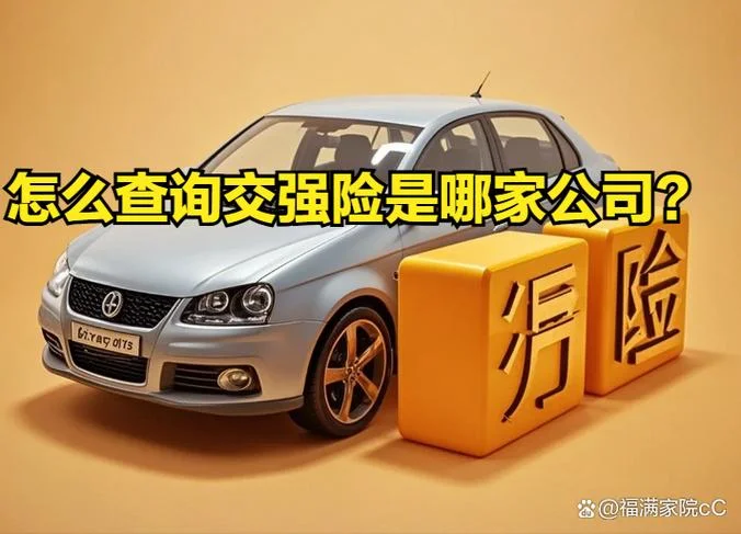 如何查保险公司是哪家_2