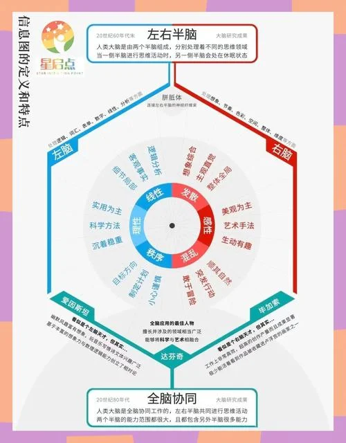 什么是右脑_1