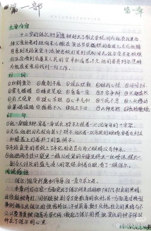 钢铁是怎样炼成的读书笔记感悟50字-钢铁读后感