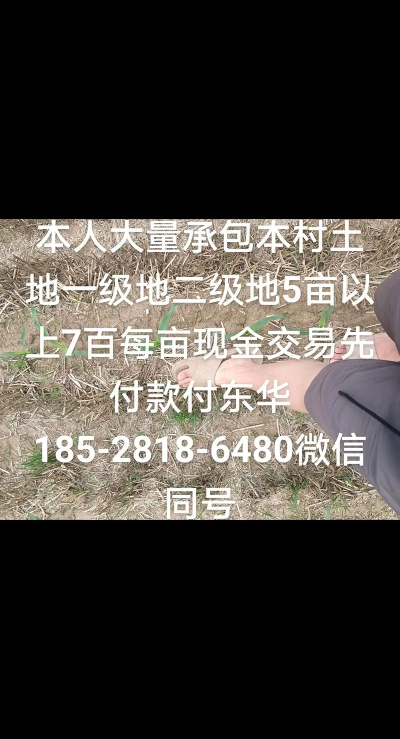 国家规定田多少钱一亩-国家规定田每亩价