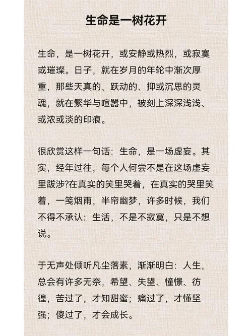 桐籽花开怎么写文案_1