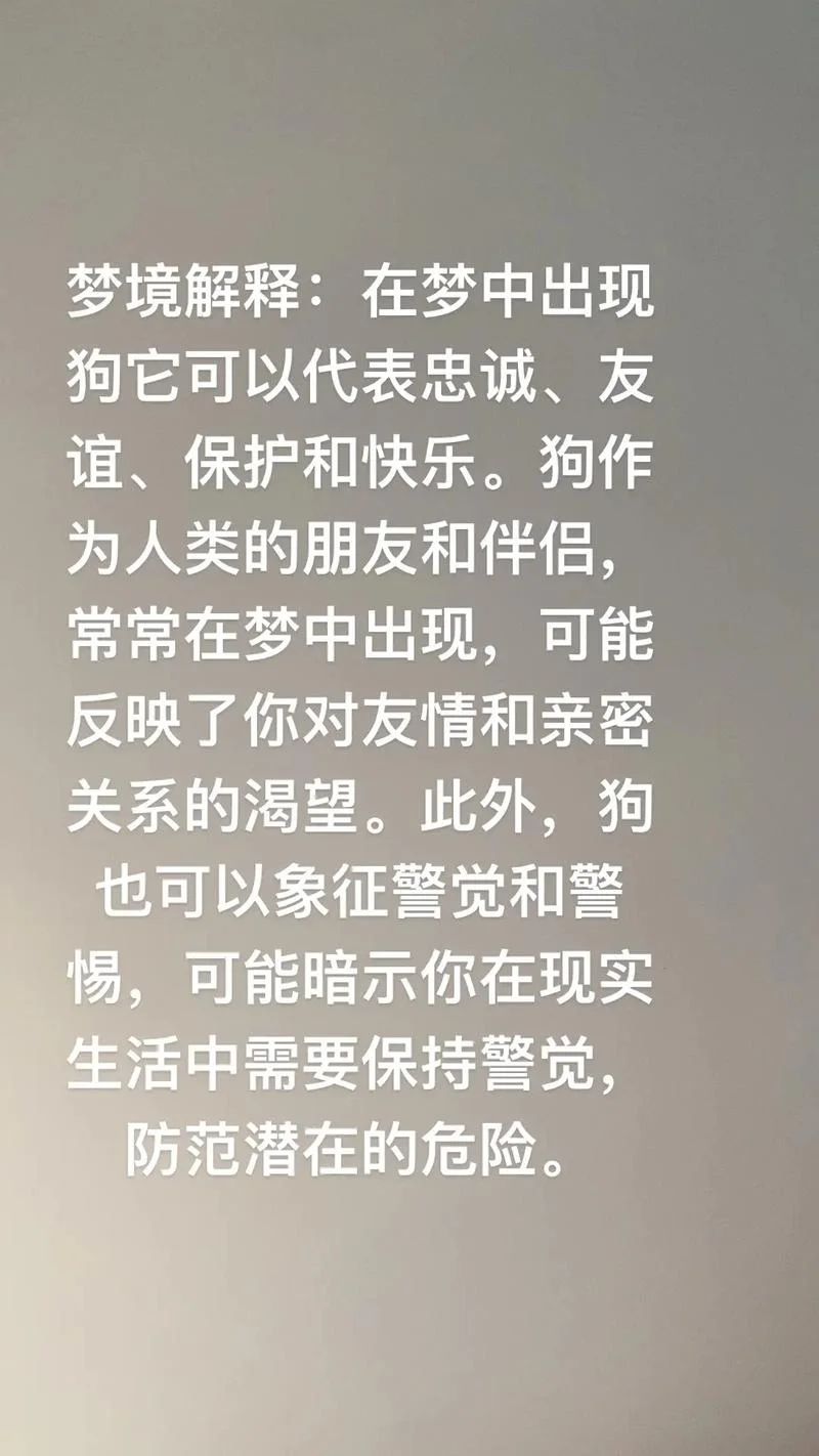 梦见一条白狗拦我去路_2