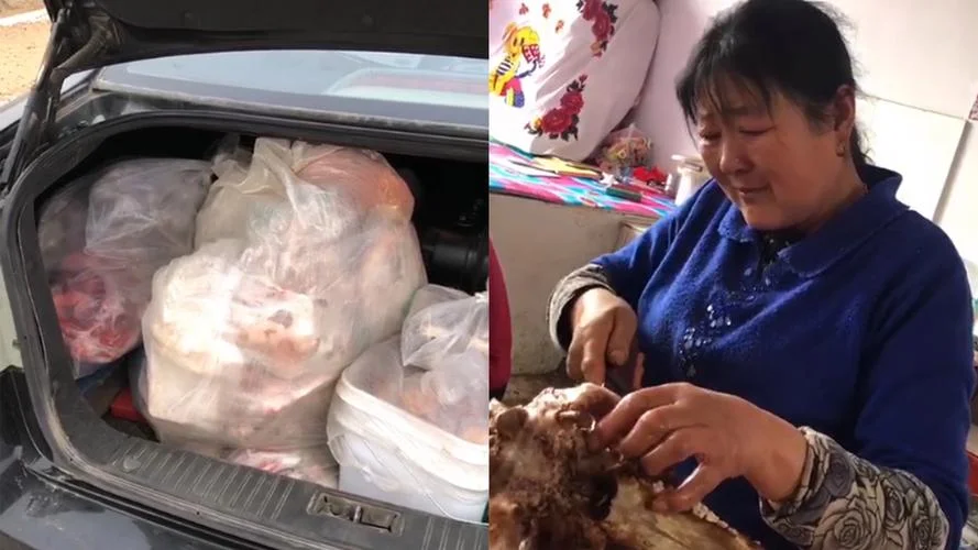 女人梦见看别人杀羊_1