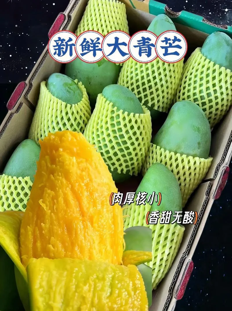 大青芒几月份成熟_1