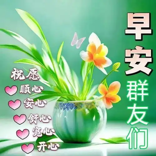 每日传递平安吉祥健康,新日早安快乐