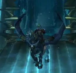 魔兽世界巫妖王之怒的问题