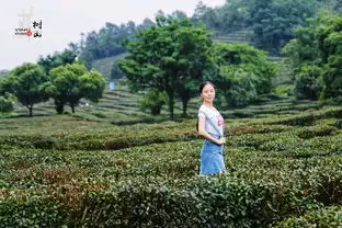 一段小清新的洗肺之旅