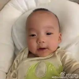 范玮琪晒双胞胎儿子萌照兄弟俩表情逗趣可爱十足