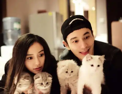 baby紧抱小海绵现身,走起来路小心翼翼,果然是世上只有妈妈好啊