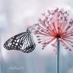 唯美的人生感悟句子,有深度,让人回味无穷