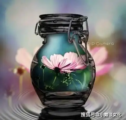 适合发朋友圈的走心语录,唯美有哲理,看过受益良多