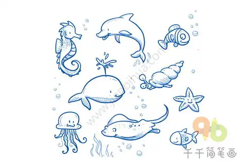缤纷的海底世界简笔画大全