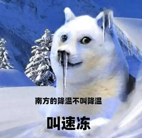 日本这种电影居然还有汽车特技