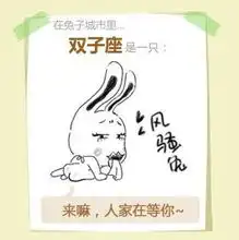 12星座在兔子城市里的猥琐像