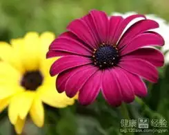 预防流感感冒有哪些假象