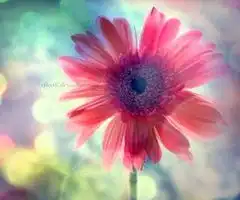 星座