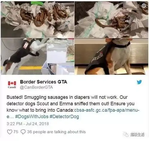 海关安检在行李里面发现婴儿竟是保姆偷了雇主家孩子...