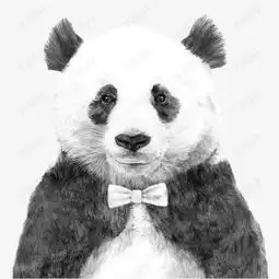手绘熊猫素材图片免费下载高清图片png千库网图片编号5847074