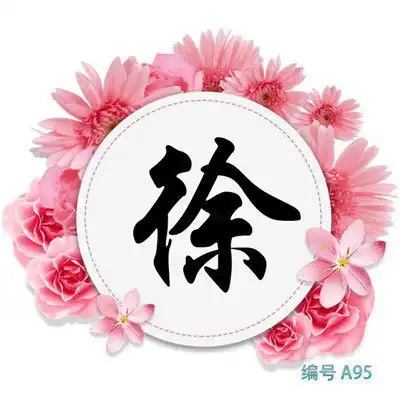 霸气的微信姓氏李赵邓曹张徐头像图片