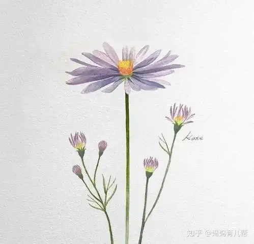 精辟有内涵的人生感悟,读后让人醍醐灌顶