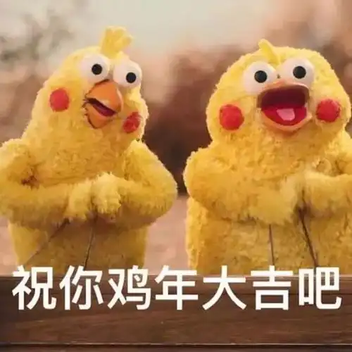鹦鹉兄弟为什么会火动图百科