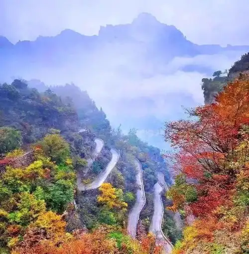 测试一个超长简介的文章