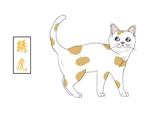 你的猫在古代叫什么名字