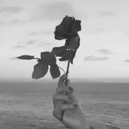 人间醒睡20